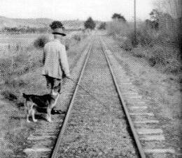 Bunny Arnold walking next to train tracks