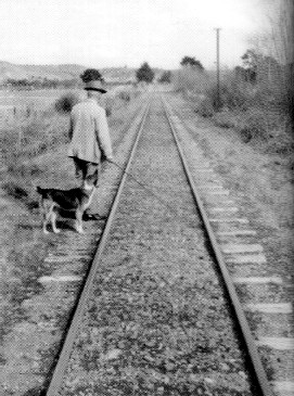 Black and white photo of Bunny Arnold checking the track towards Wakefield with the aid of his dog, 
                            mid 1950s.