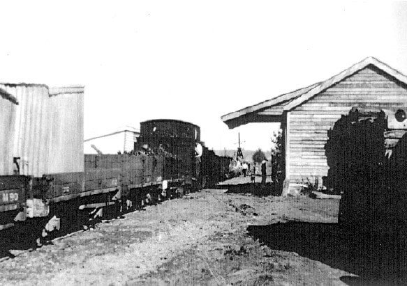 A black and white photo of a mixed train at Spring Grove Station.